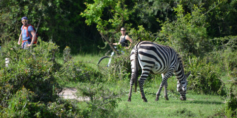 2-Day Cycling Safari in Lake Mburo National Park