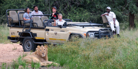 parque kruger safari