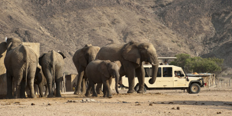 tour group to namibia