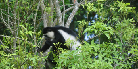 6-Day Your African Safari