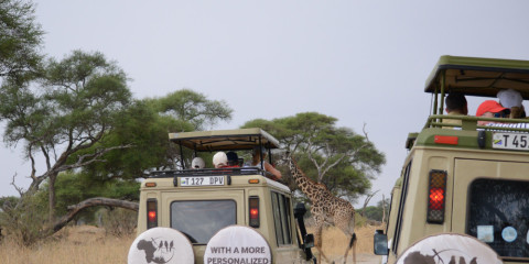 8-Day Wildlife Safari & Beach Holiday - Special Offer