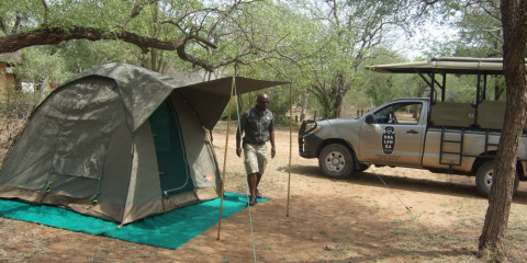 4-Day Kruger Park Camping Safari