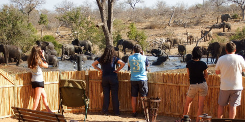 kruger national park safari information