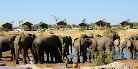 7-Day Victoria Falls to Elephant Sands