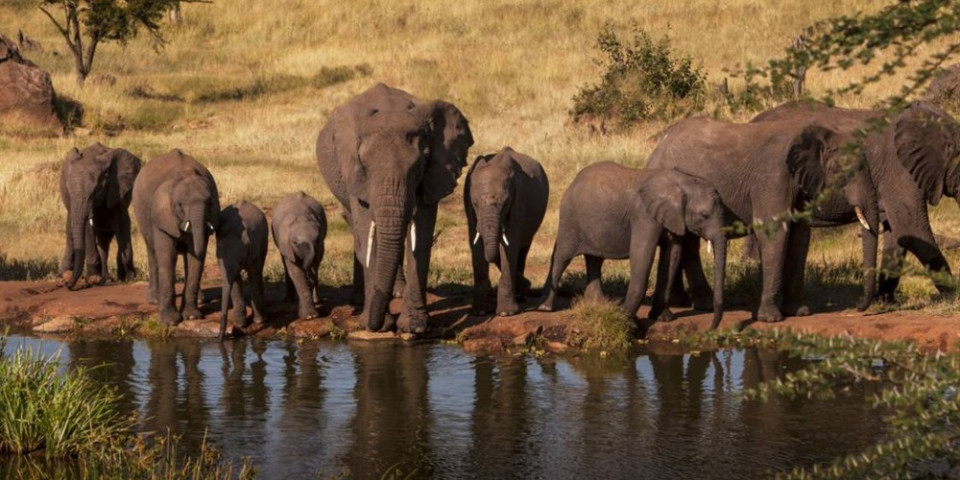 5-Day Northern Tanzania Joining Camping Safari