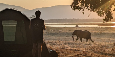 safari in hwange