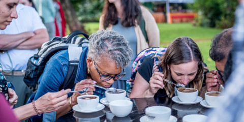 ½-Day Coffee Farm Tour (Fairview)