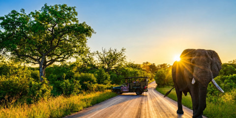 4-Day Kruger Safari from Johannesburg- Kruger Gate Hotel