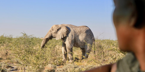 safari camper namibia