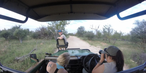 6-Day Tremisana Lodge Kruger Park Safari