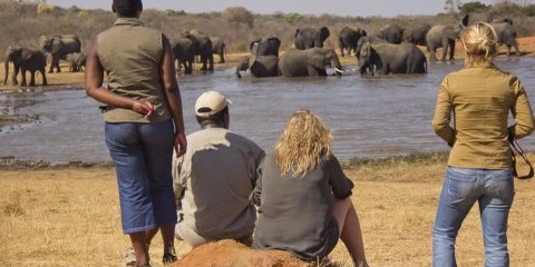 6-Day Affordable Victoria Falls and Hwange Experience