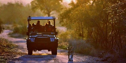 4-Day Kruger Park Hamiltons Luxury Tented Camp
