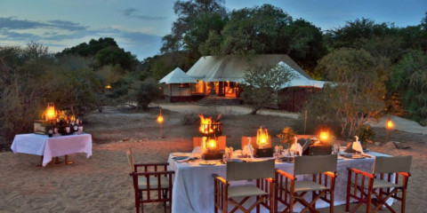 5-Day Hamiltons Luxury Tented Camp Safari