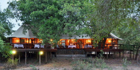 3-Day Luxury Fly-in Safari to Hamiltons Tented Camp