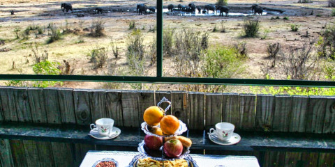½-Day Unique High Tea Safari Game Drive in the Savannah