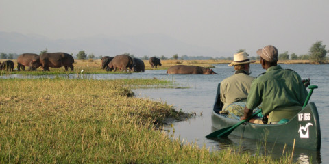 4-Day Mana Pools Shoreline Canoe Safari Zimbabwe