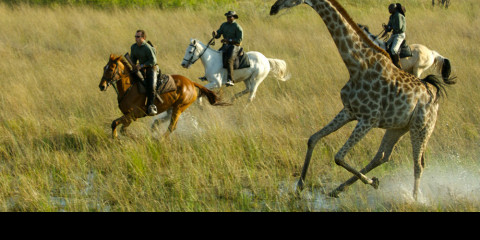 6-Day Okavango Delta Horse Back Safari