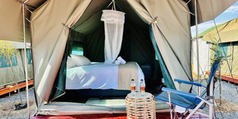 4-Day Pilanesberg Tlou Tented Safari