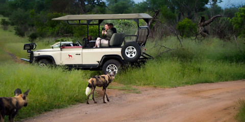 5-Day Kruger, Private Reserve and Panorama Tour