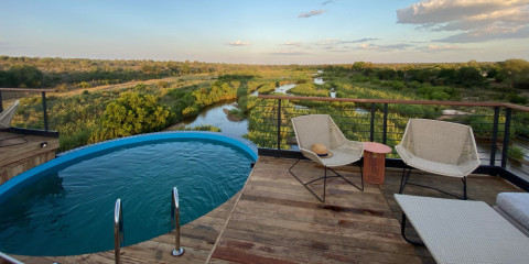 5-Day Kruger Untamed & Train on the Bridge Fly in Safari