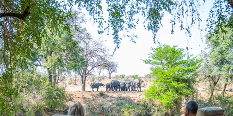 3-Day Imbali Lodge Safari Tour