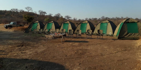 chobe safari in