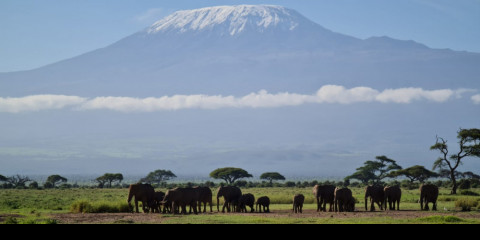 6-Day Masai Mara-Lake Naivasha-Amboseli Park Safari