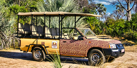 ½-Day 1 Hour Victoria Falls Town Safari in 4x4 Jeep