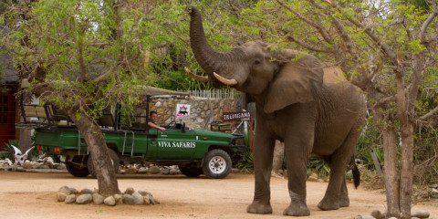 3-Day Fly-in Kruger National Park Tour