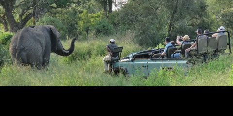 5-Day Luxury Kruger Park and Sabi Sand Safari