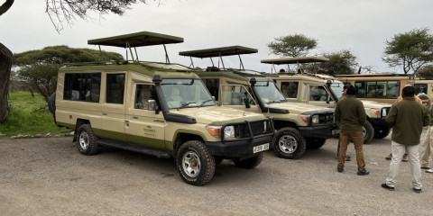 wildlife safari tour