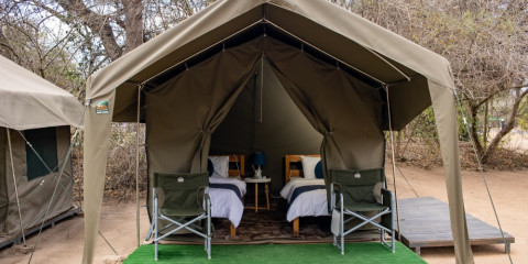 3-Day Kruger Camping Fly in Safari from Johannesburg