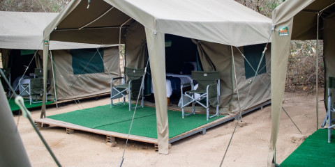4-Day Kruger Camping Fly in Safari from Johannesburg