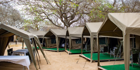 5-Day Kruger Camping Fly in Safari from Johannesburg