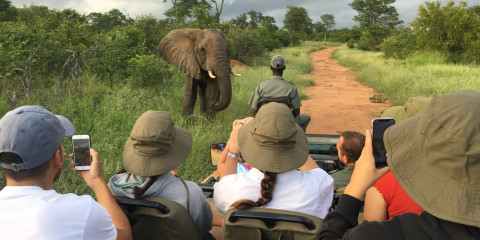 4-Day Immersive Kruger National Park Experience