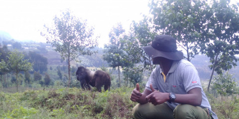 3-Day Rwanda Gorilla and Golden Monkeys