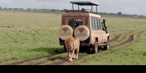 5-Day Tarangire Serengeti Ngorongoro & Kilimanjaro Hike