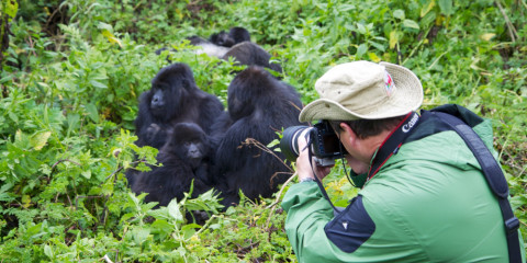 7-Day Uganda Budget Tour, Safari and Adventure