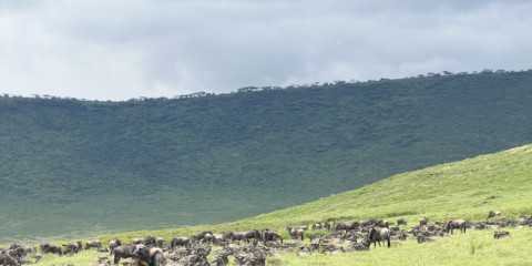 8-Day Unforgettable Tanzania