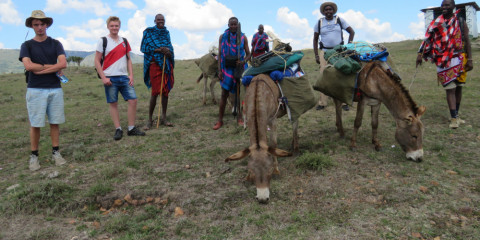 safari masai