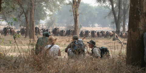 5-Day Hwange National Park Fly Camping Safari