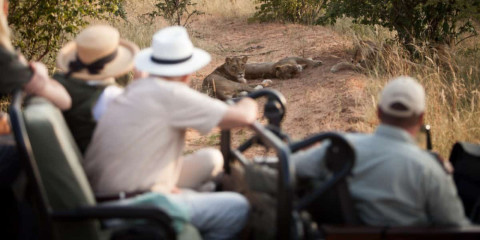 5-Day Luxury Greater Kruger to Canyon Safari Adventure