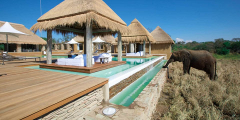 7-Day Safari Moon & Kapama Ultimate Luxury Safari Combo