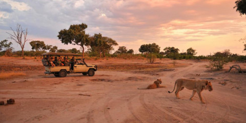 7-Day Botswana Safari Iconic