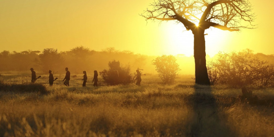 10-Day Remarkable Ruaha