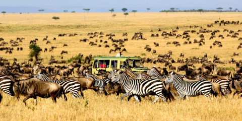 3-Day Masai Mara Fly-in Safari with Basecamp