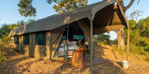 3-Day Kruger Untamed Satara Plains Camp Fly in Safari