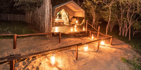 5-Day Kruger Safari in an En-Suite Tented Camp