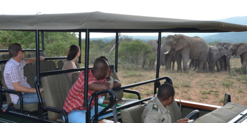 3-Day Kwafubesi Tented Safari Camp