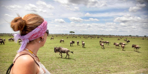 3-Day Nyerere Wildlife Game Drive & Boat Safari